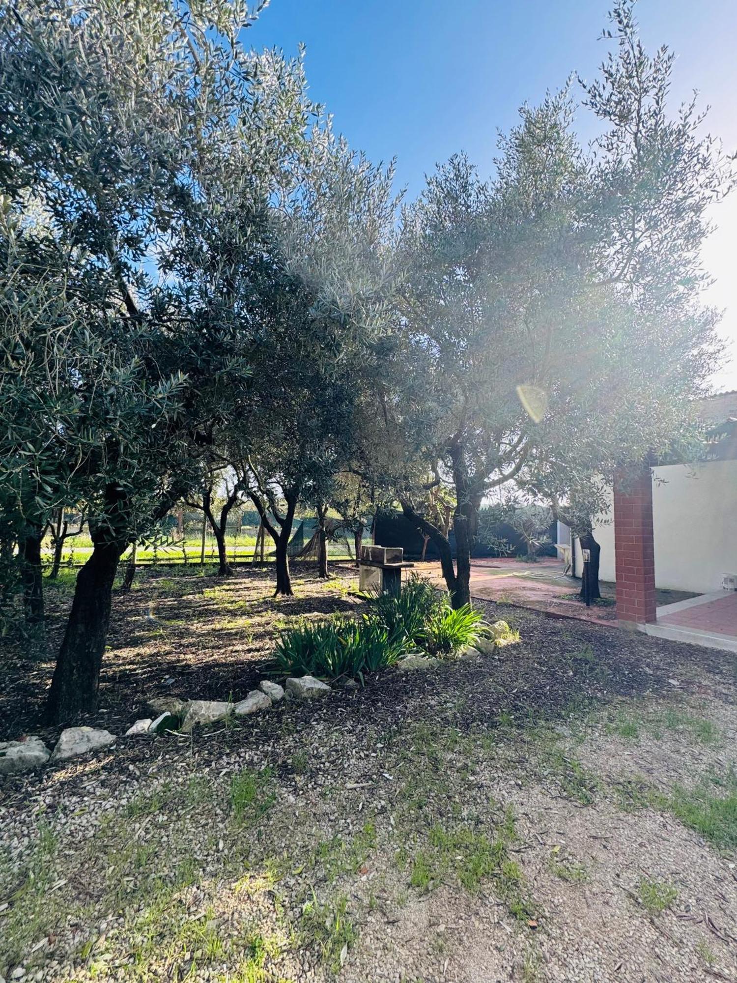 La Perla Di Dea Villa Lido Di Fondi Eksteriør bilde