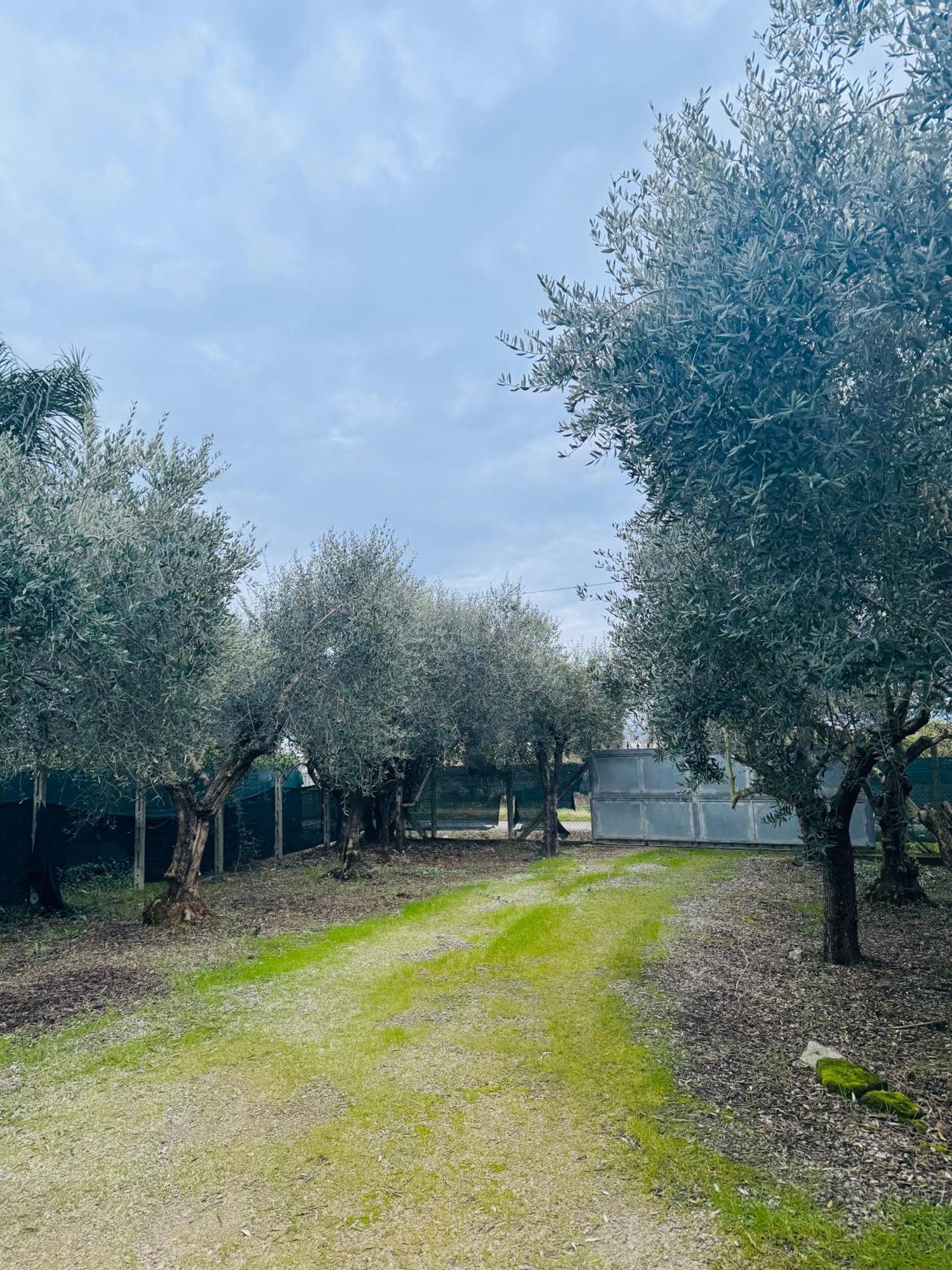 La Perla Di Dea Villa Lido Di Fondi Eksteriør bilde