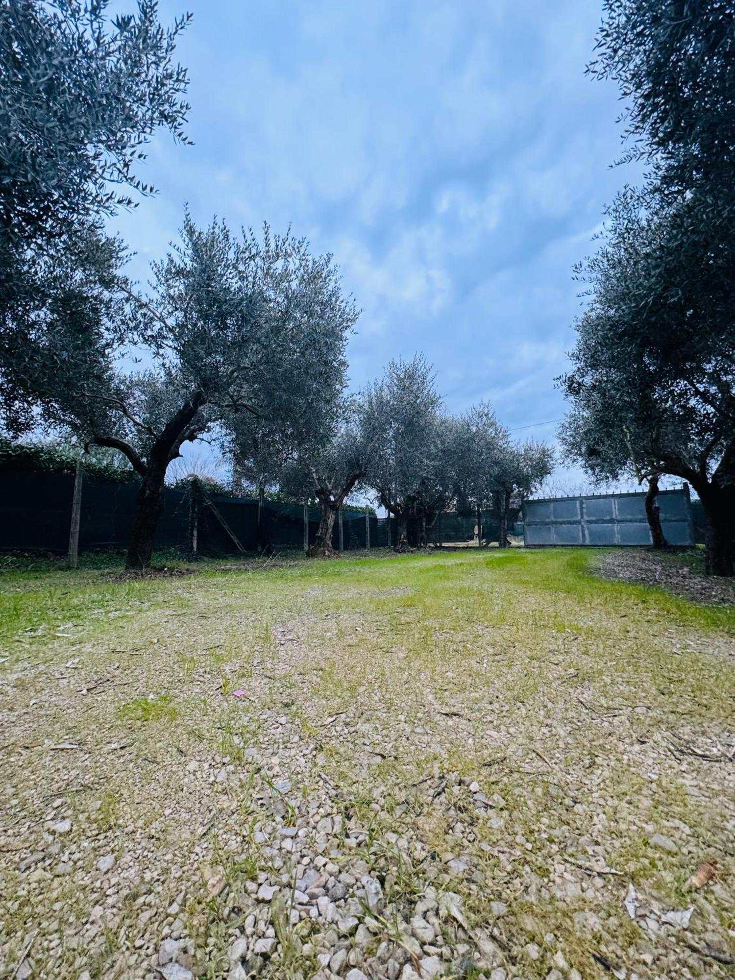 La Perla Di Dea Villa Lido Di Fondi Eksteriør bilde